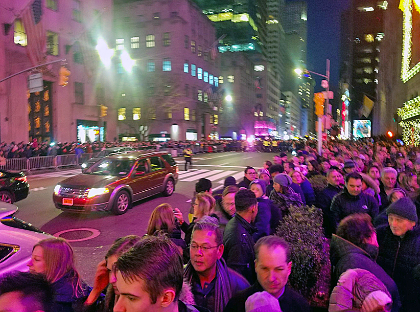 NYC to Help Pedestrians Near the Tree