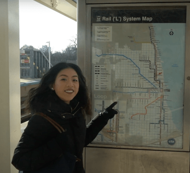 Here are some good resources for getting started living car-free in Chicago