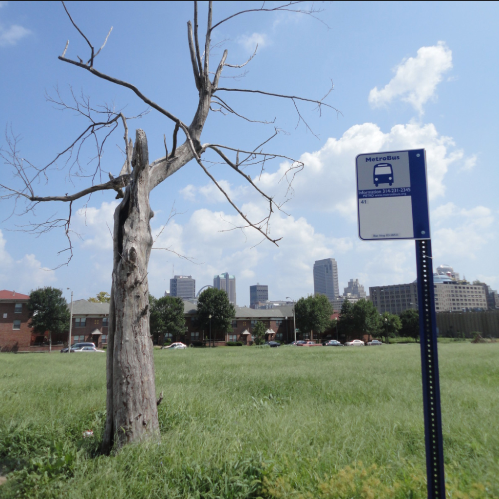 U.S. Has More Car-Free Areas Than You Think