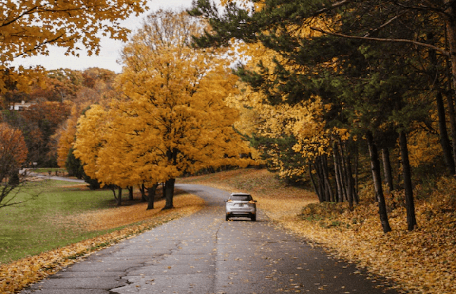 More than 500 People Will Die on Roads This Thanksgiving (But They Don’t Have To)