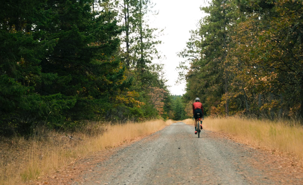 Popular Cycling Roads and Trails Threatened by Trump’s Public Lands Sell-off