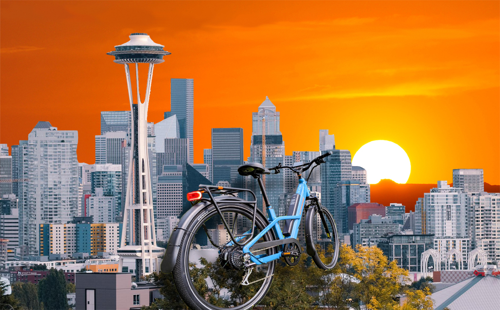 Is Rad Power Bikes Riding into the Sunset?